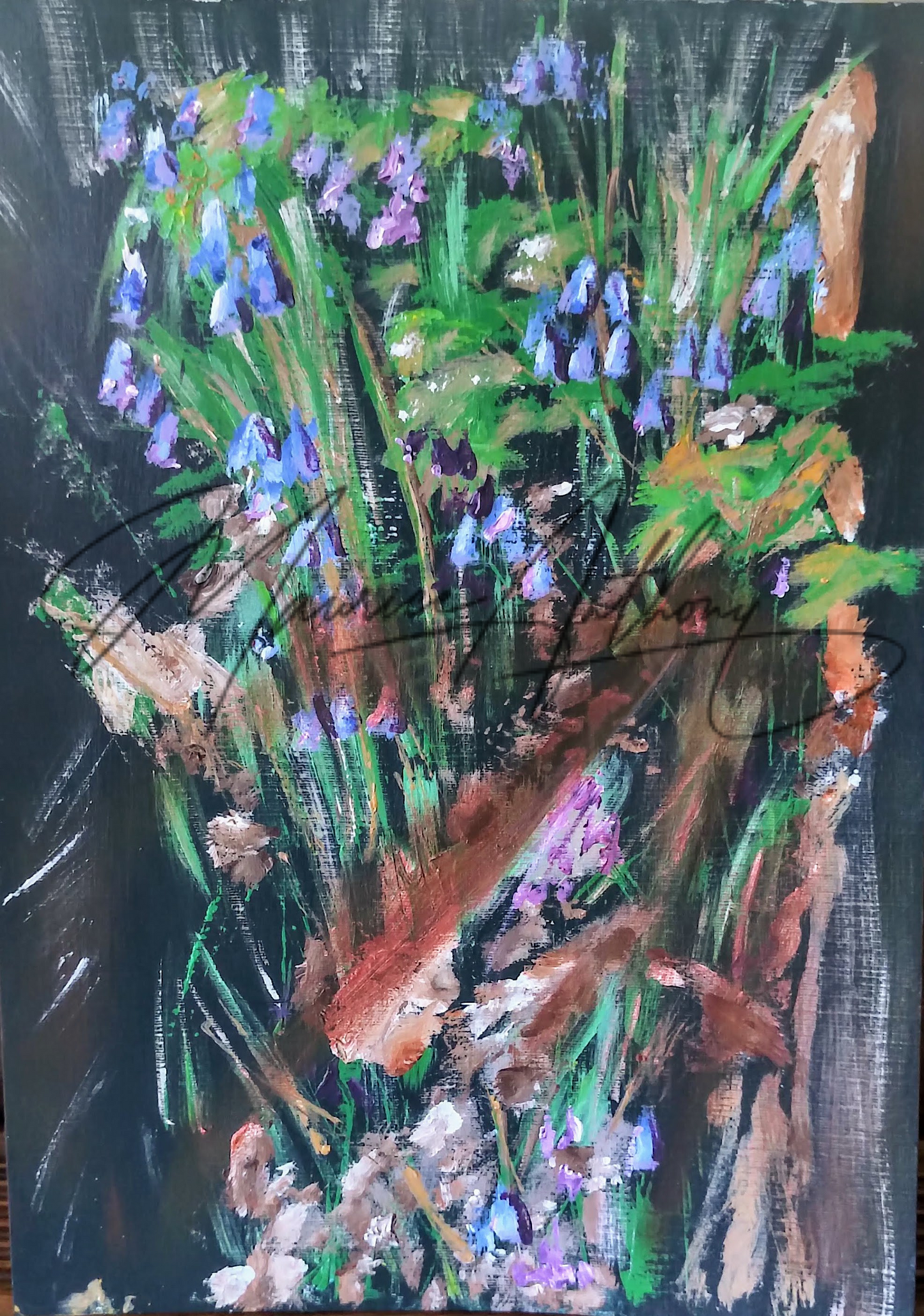 Bluebells in May